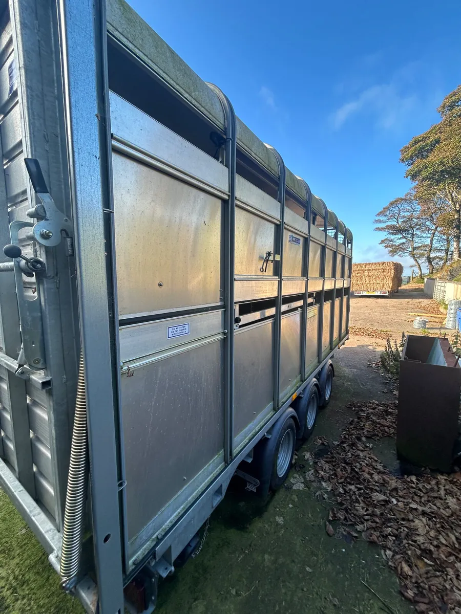 2024 Ifor Williams DP120 Trailer - Image 4