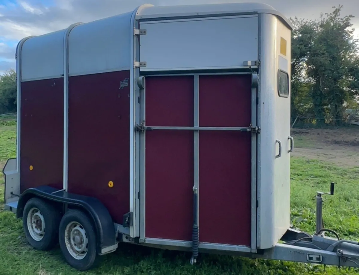 505 Ifor Williams Horse Box - Image 1