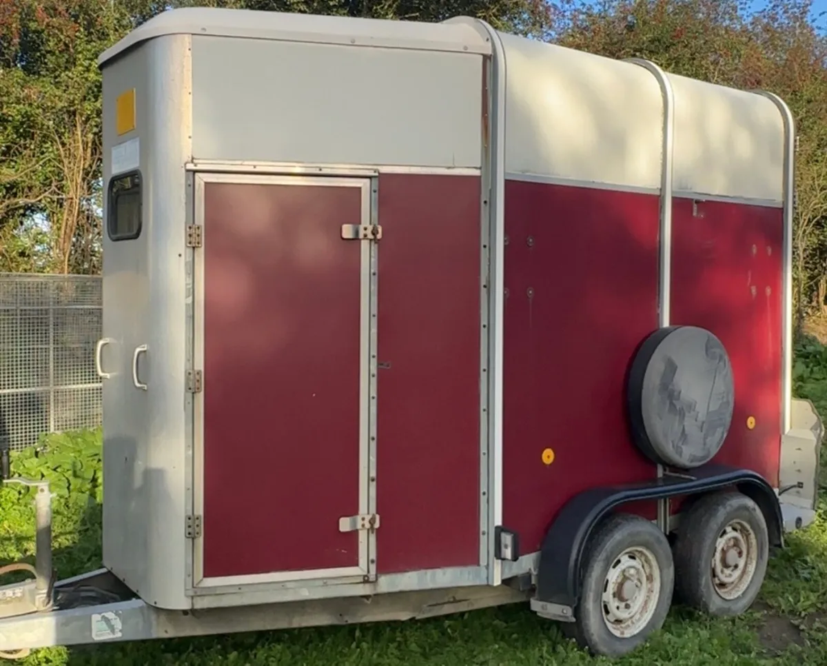 505 Ifor Williams Horse Box - Image 3