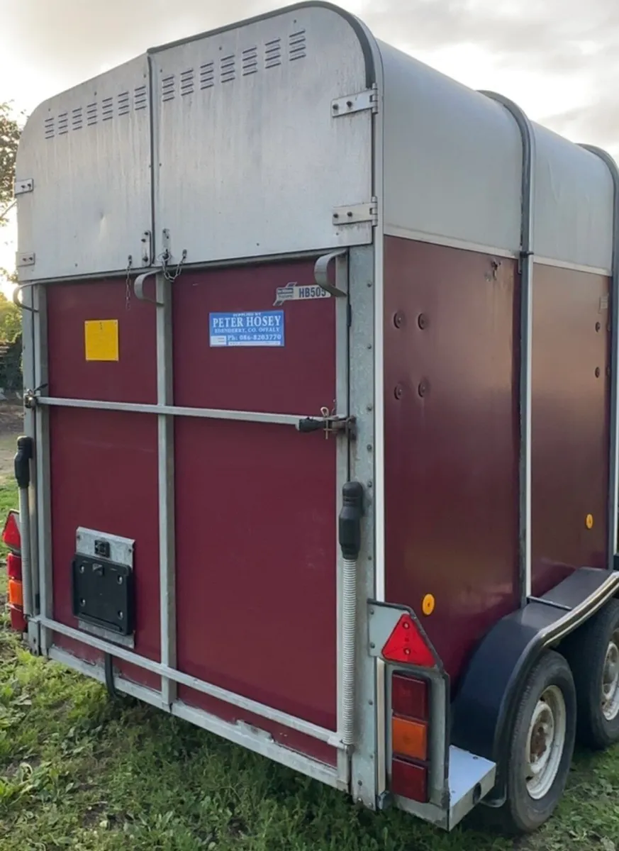505 Ifor Williams Horse Box - Image 4