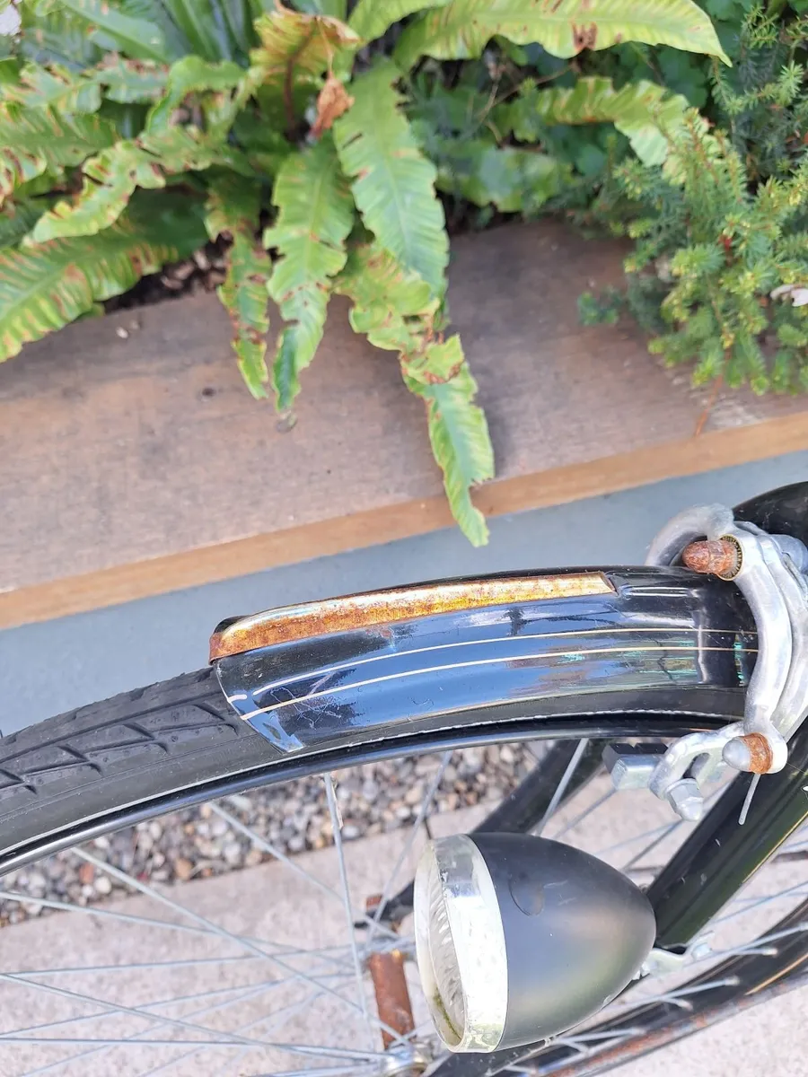 Avalon Ladies Bike - Image 3