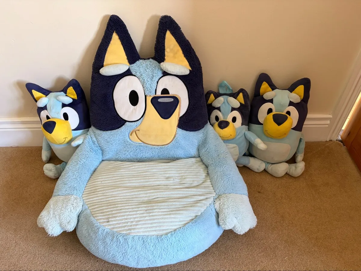Bluey chair & teddies