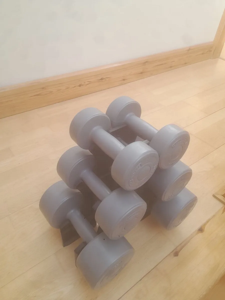 Dumbbells - Image 1