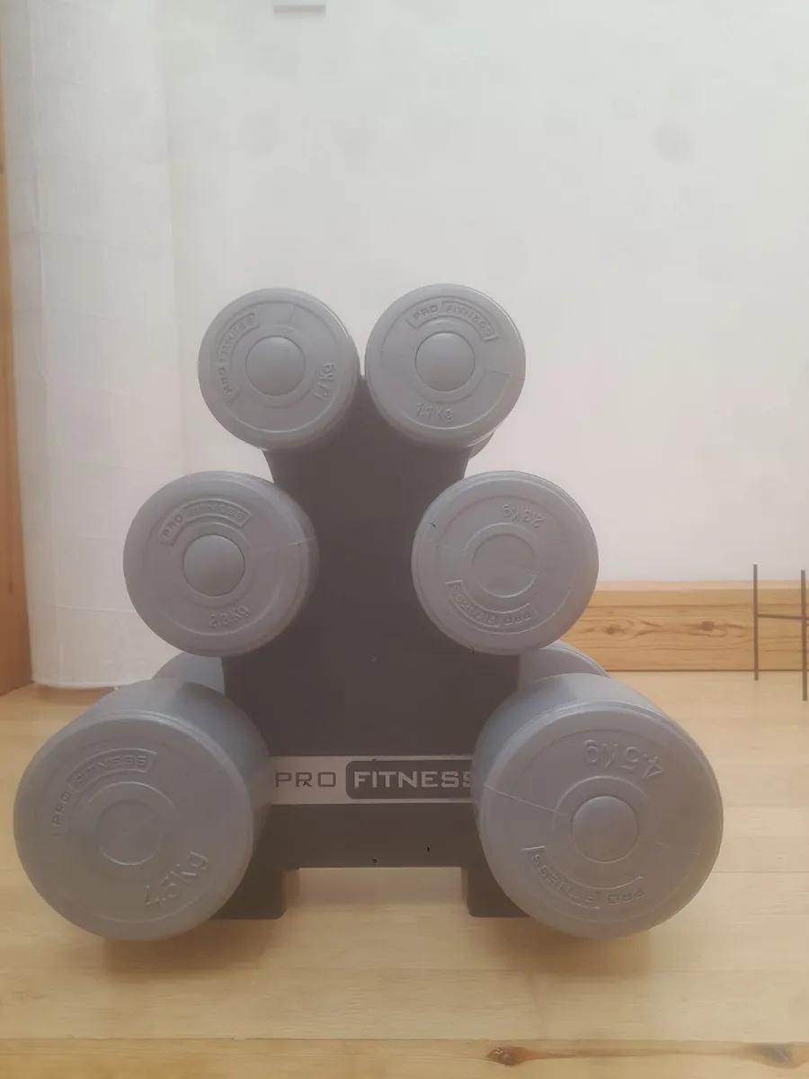 Dumbbells - Image 2