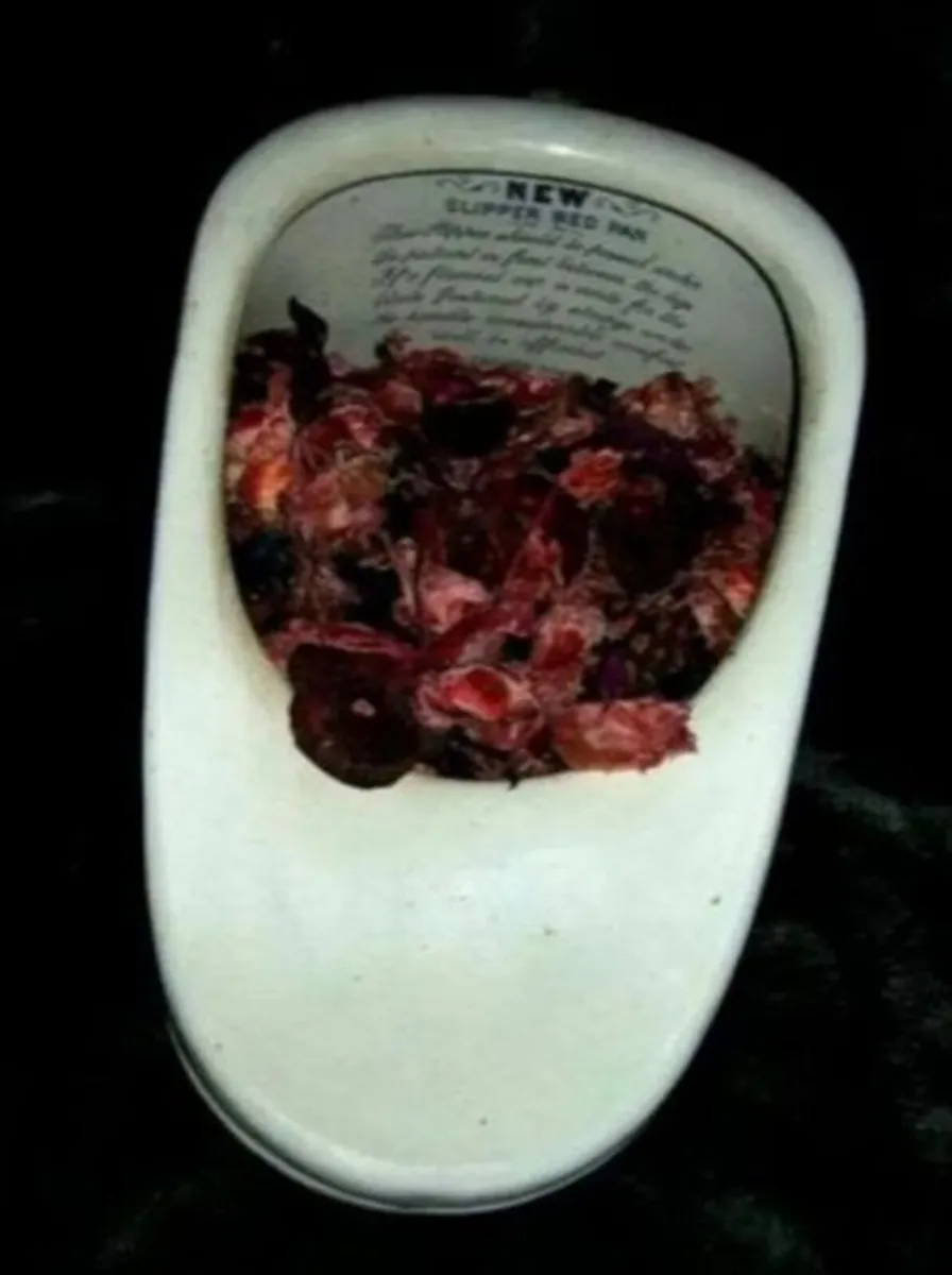 Authentic Vintage Bedpan - Image 1