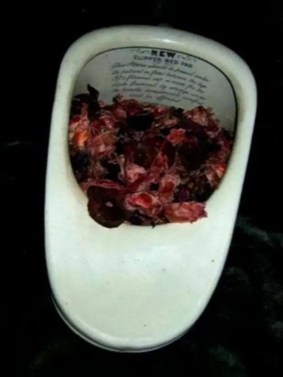 Authentic Vintage Bedpan - Image 2