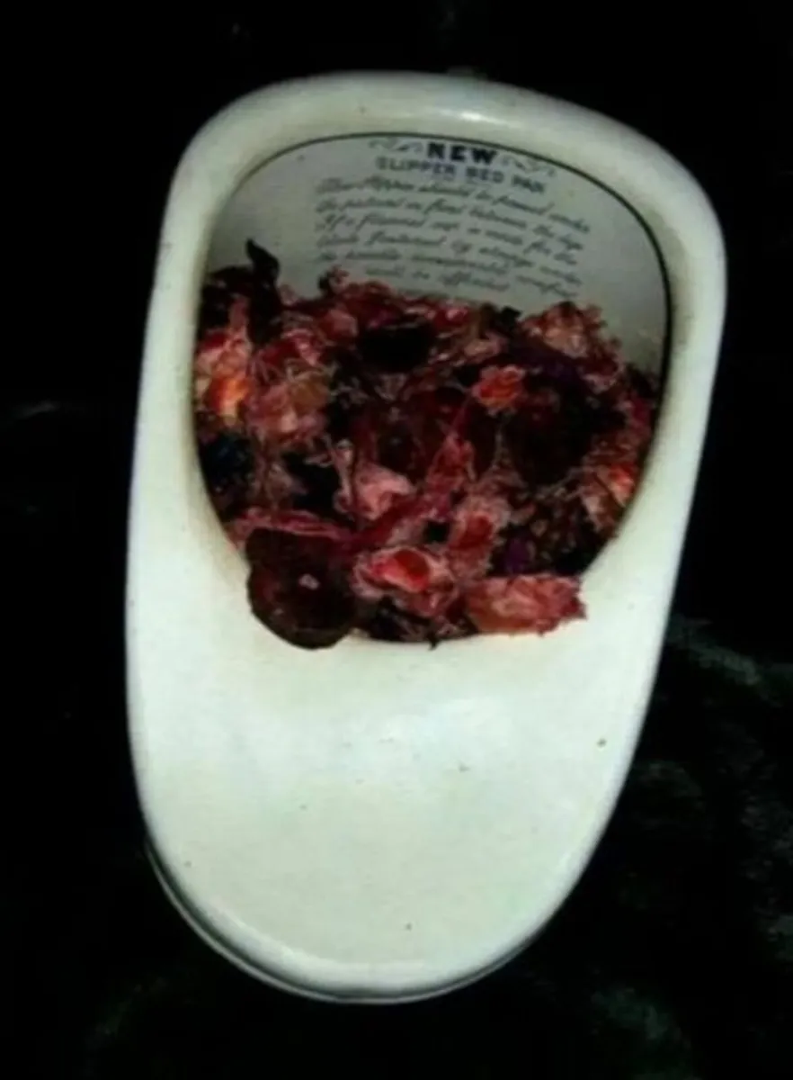 Authentic Vintage Bedpan - Image 3