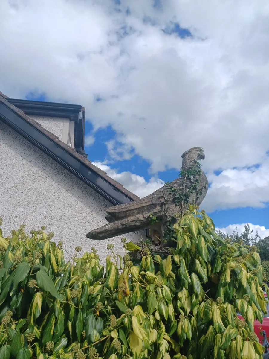 Stone eagles - Image 1