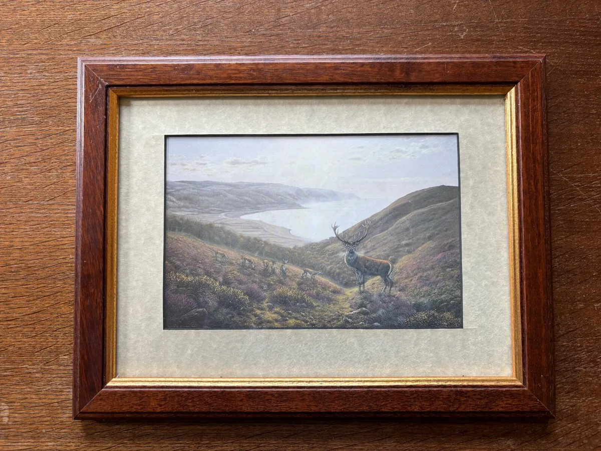 Set of 4 Fine Art Framed Prints - Image 4