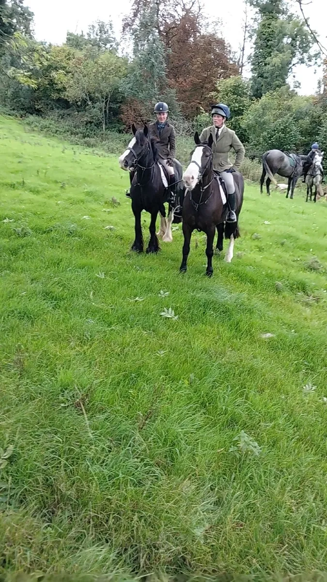 🐴🐴Mary-Jane🐴🐴 - Image 4