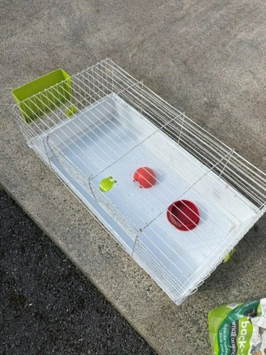 Rabbit hutch - Image 2