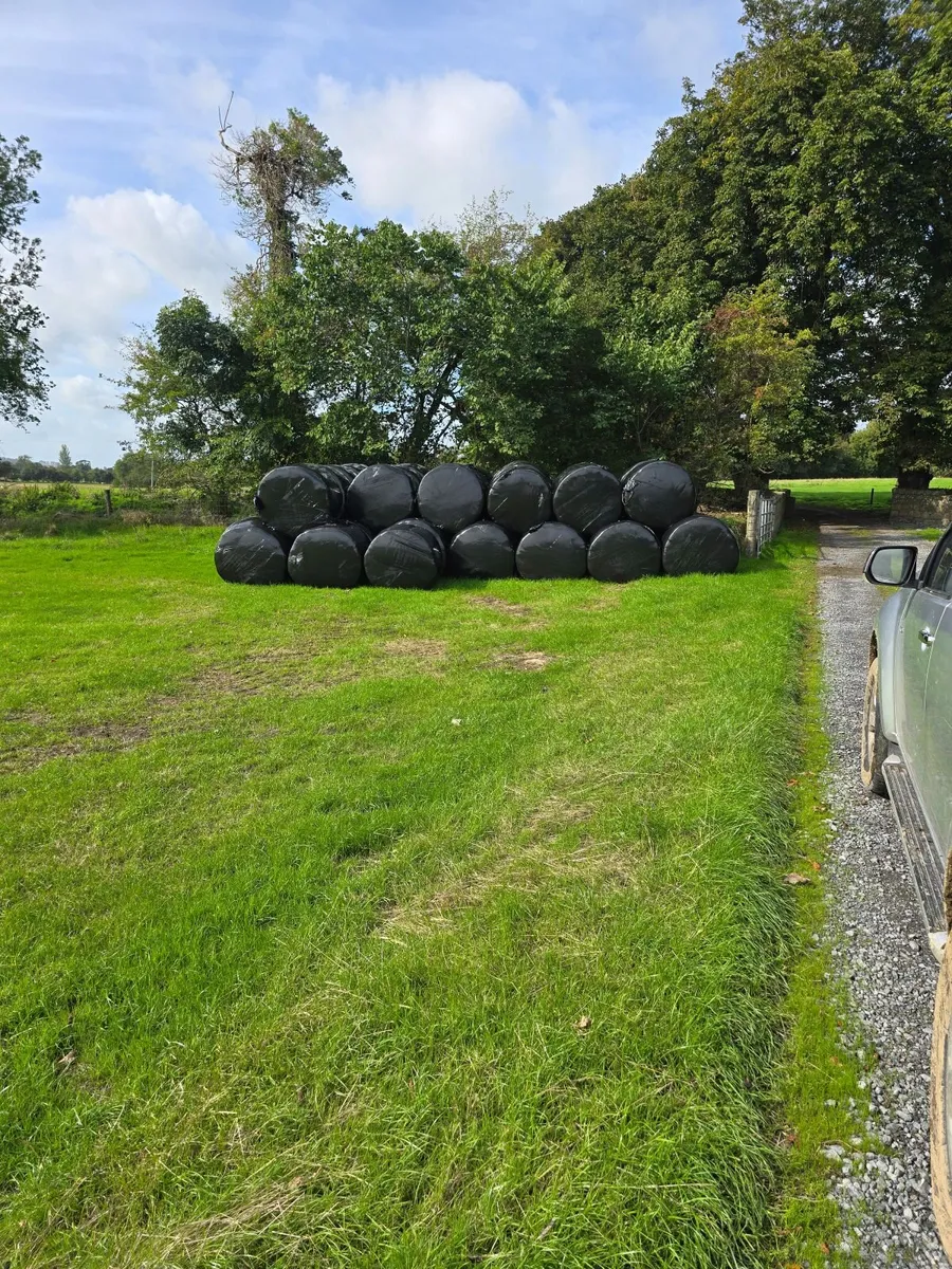 Silage