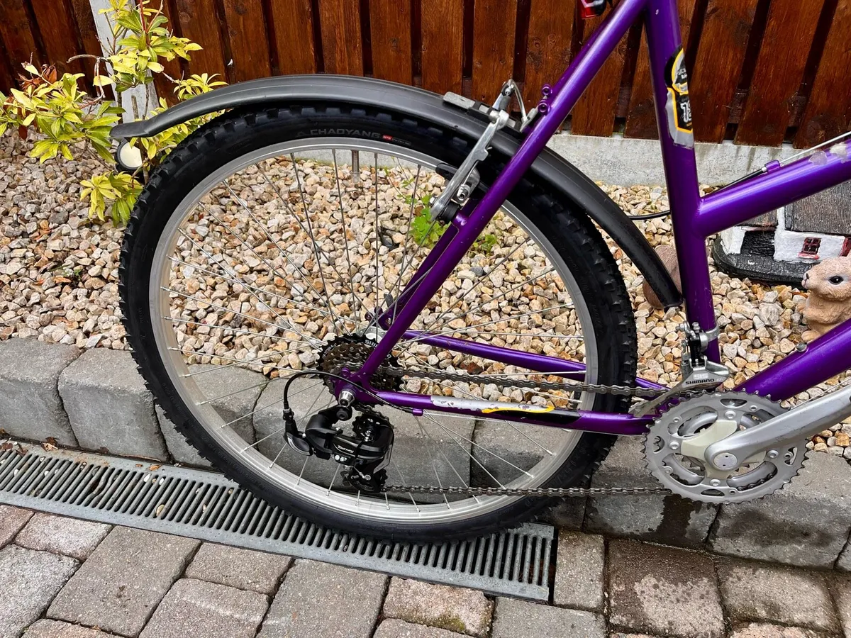 26” Raleigh Bike - Image 3