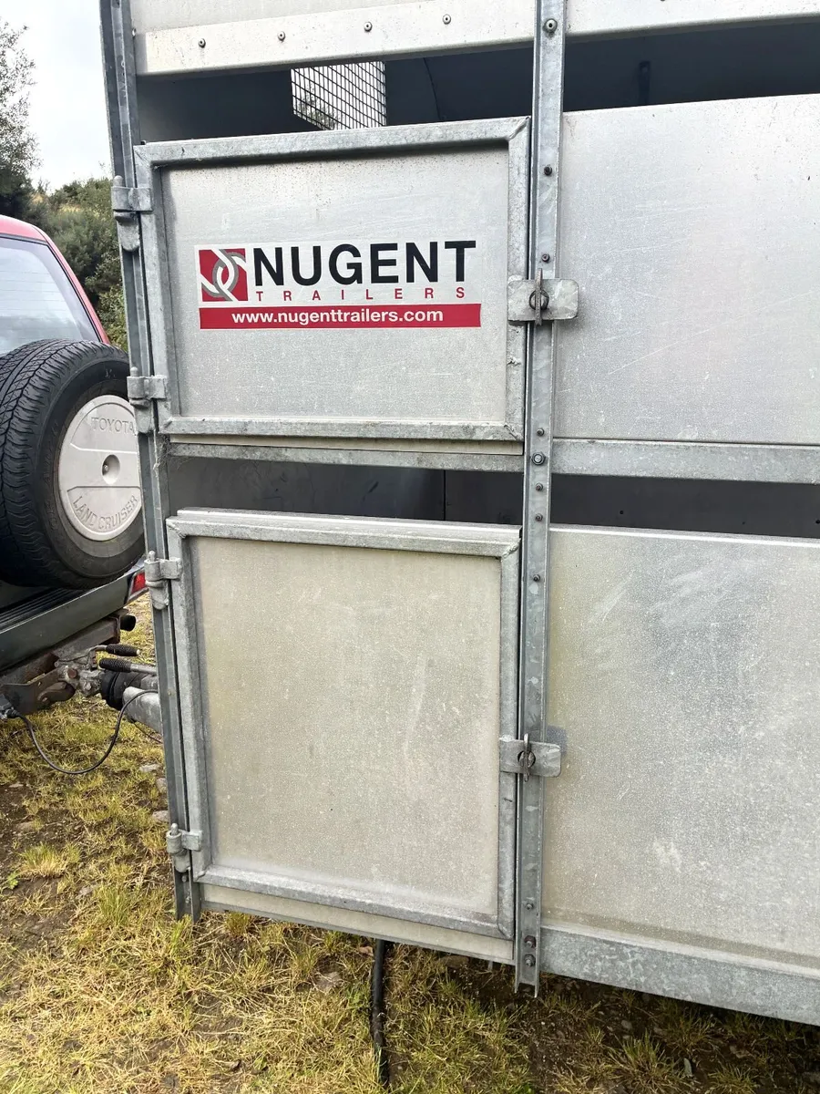 Nugent 12ft x 6ft Livestock Trailer – Immaculate - Image 2