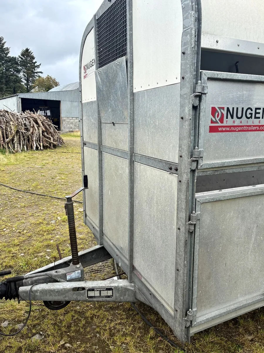 Nugent 12ft x 6ft Livestock Trailer – Immaculate - Image 3