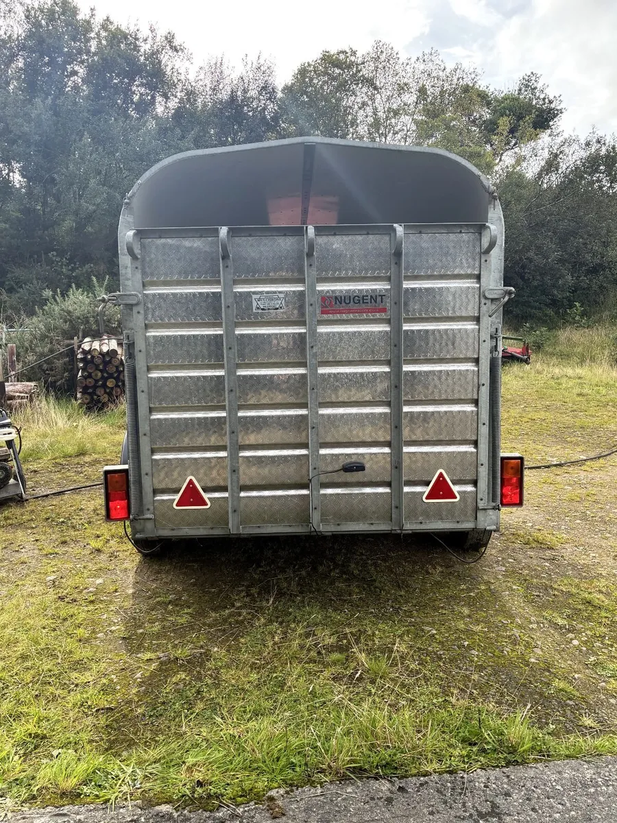 Nugent 12ft x 6ft Livestock Trailer – Immaculate - Image 4