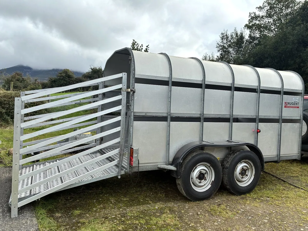 Nugent 12ft x 6ft Livestock Trailer – Immaculate - Image 1