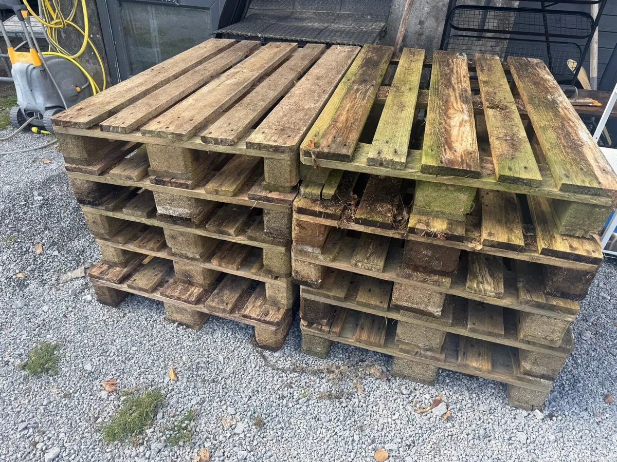 Pallets Free for Collection - Image 1