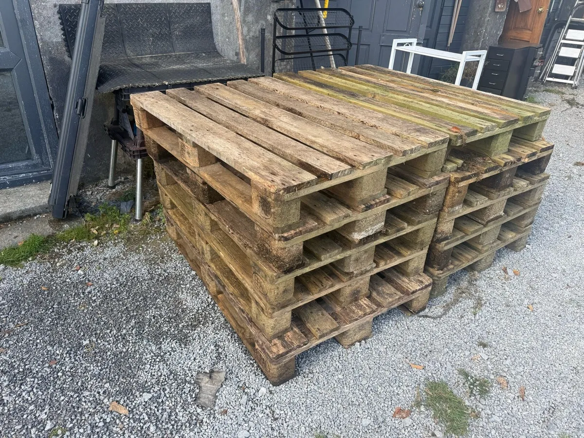 Pallets Free for Collection - Image 2