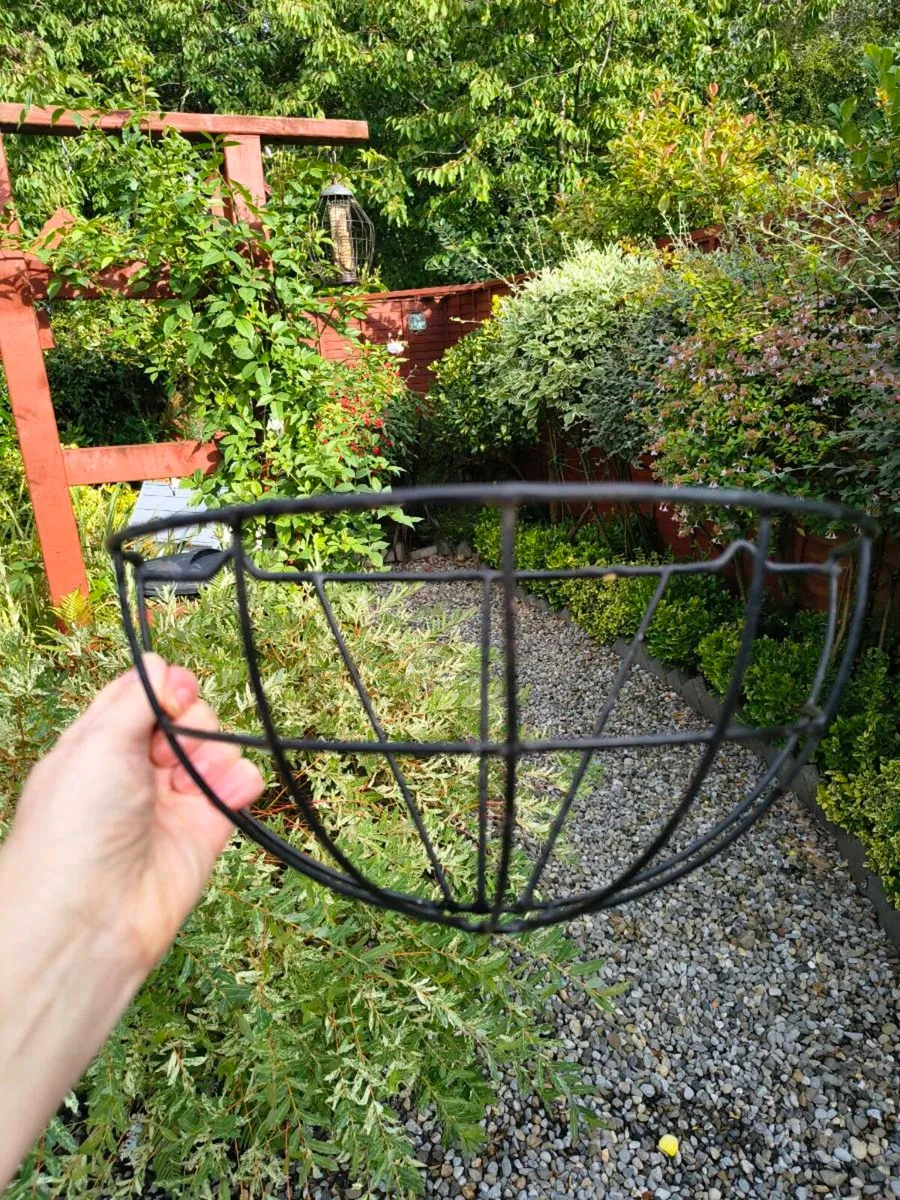 Plant Wall Brackets - Image 2