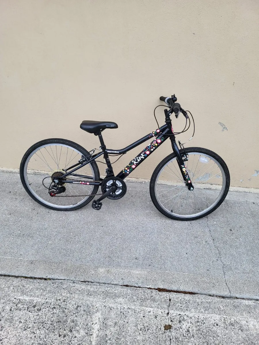 Bicycle - Image 1