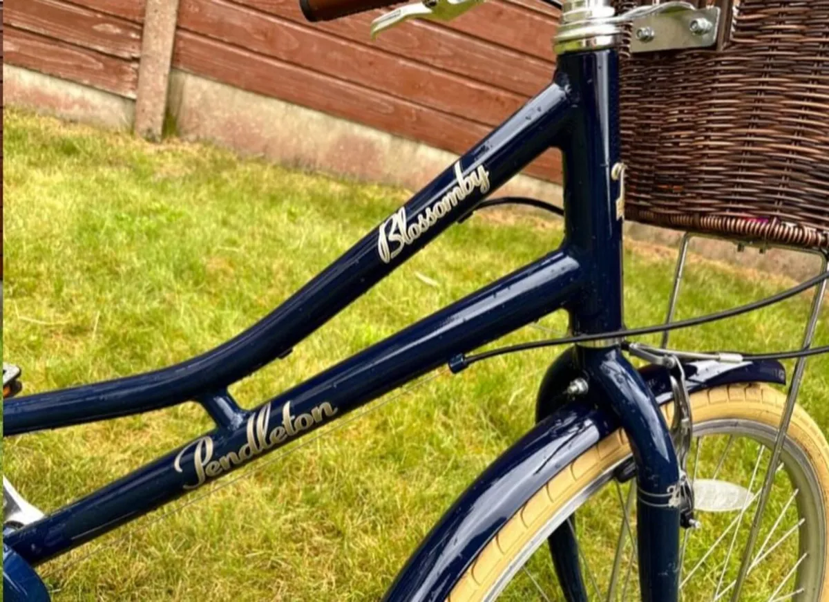 Pendleton Junior Bike - Image 4