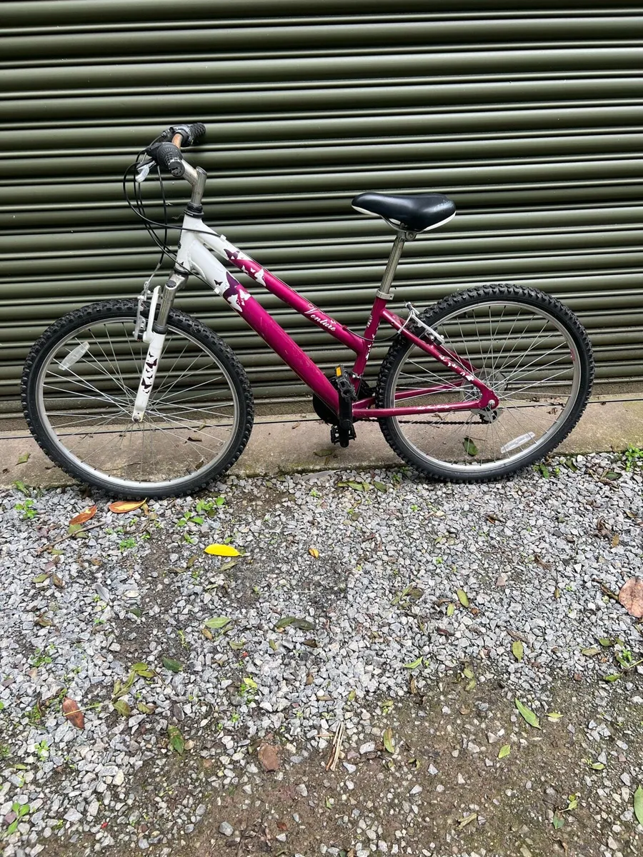 Bike - Image 1