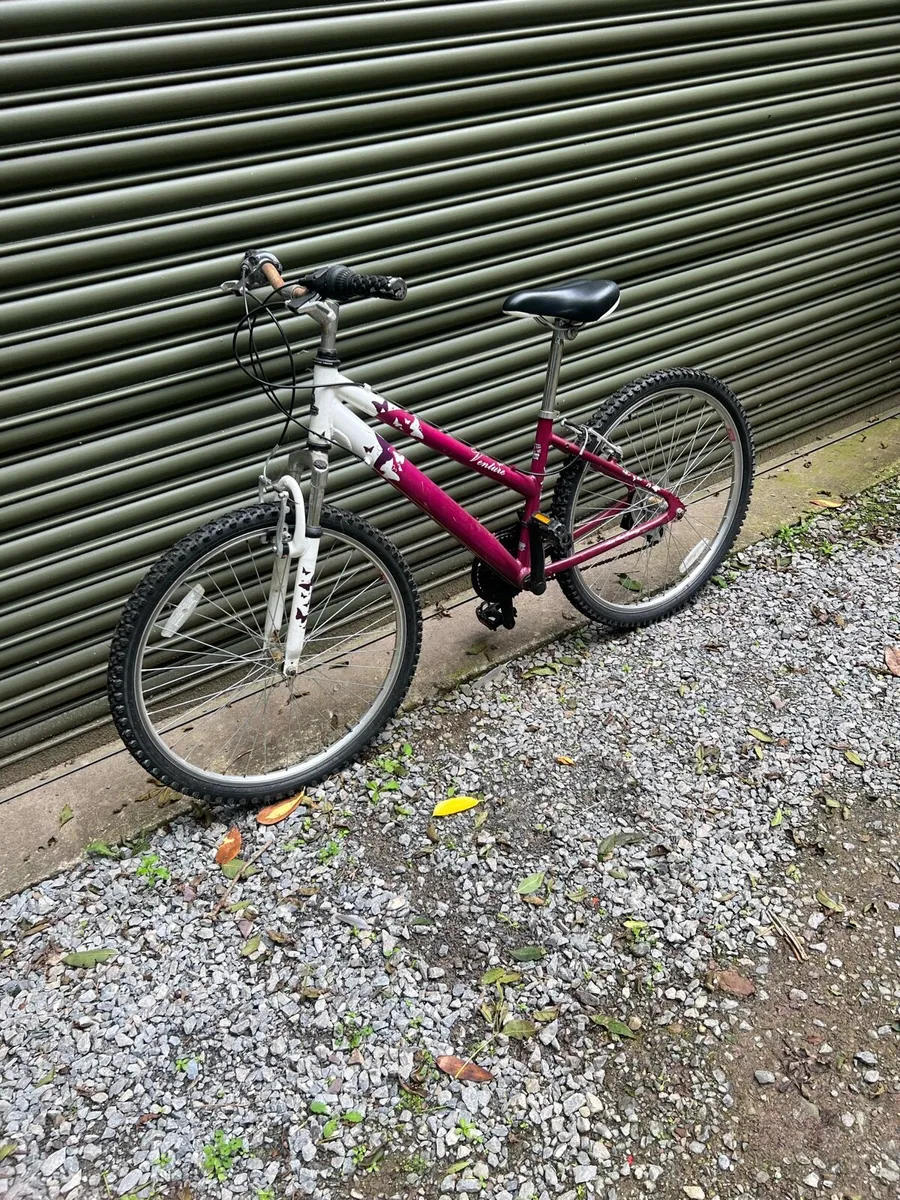 Bike - Image 2