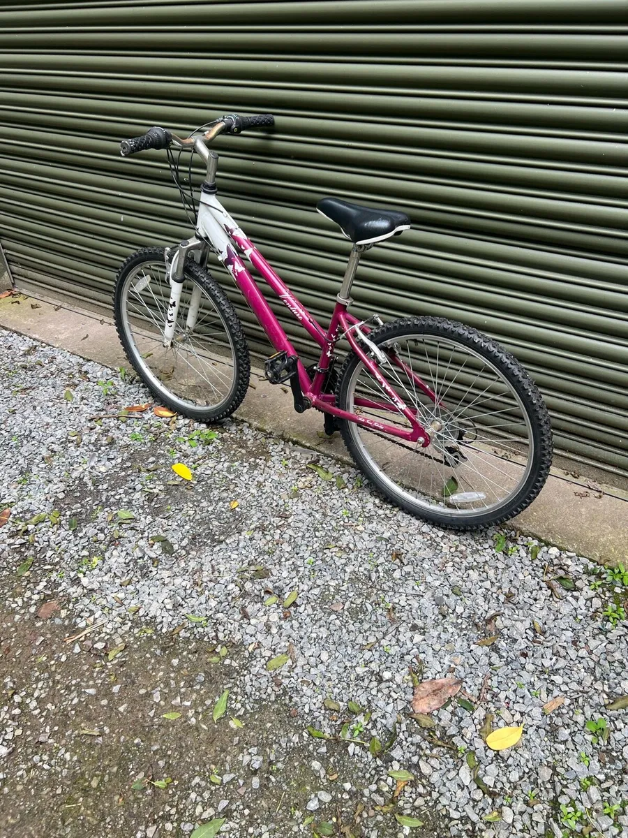 Bike - Image 3