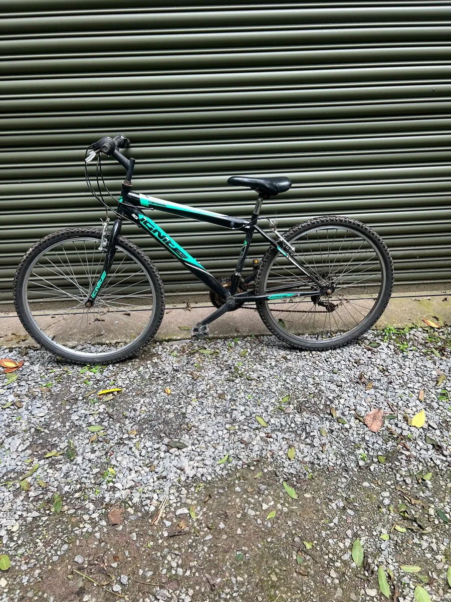 Bike - Image 1