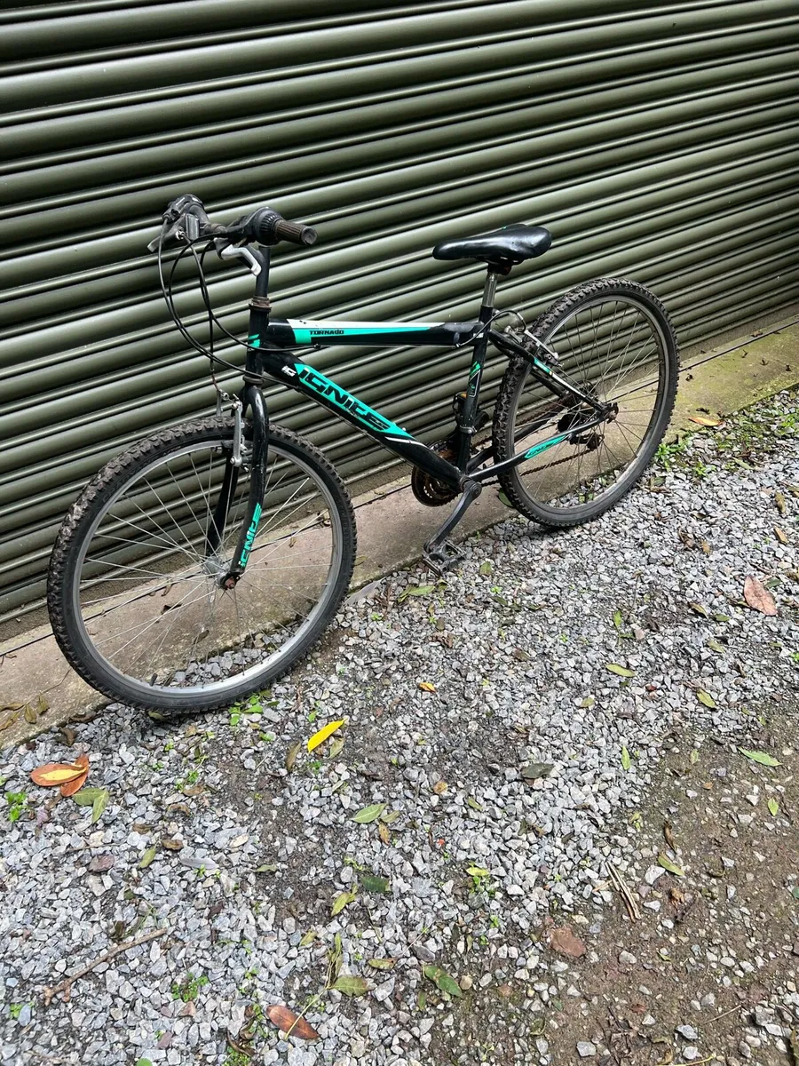 Bike - Image 2