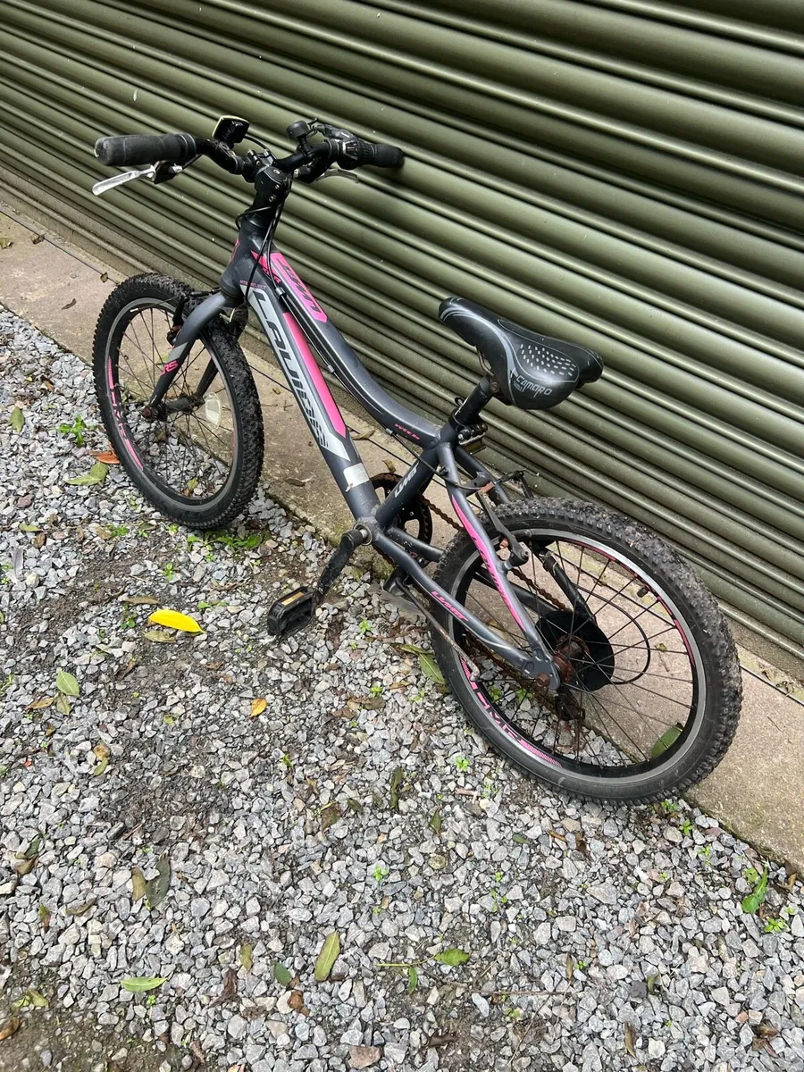 Bike - Image 3