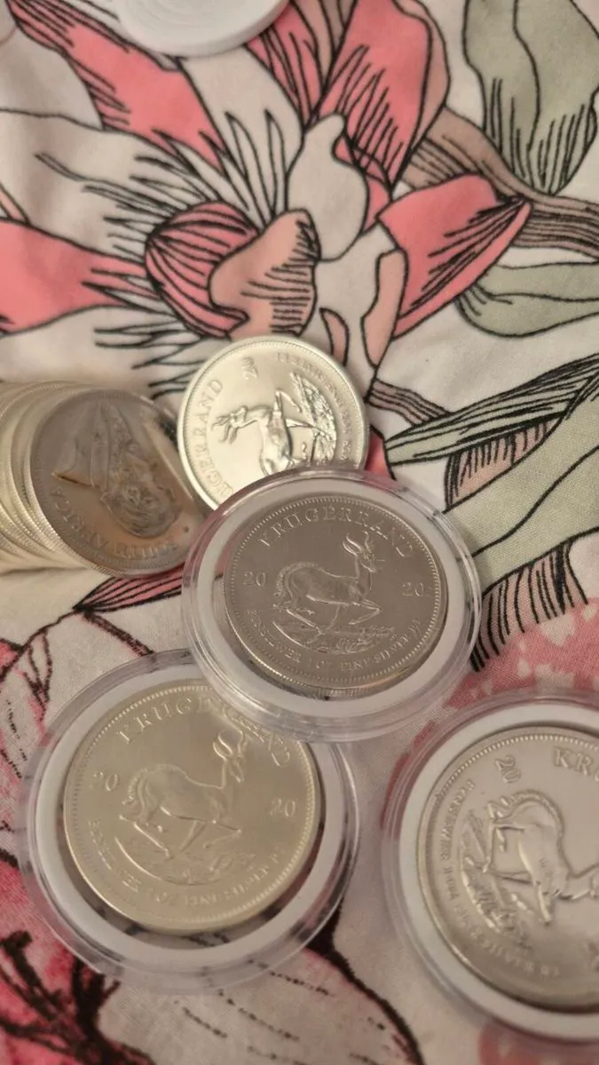 Silver Coins  1oz .999 Fine Silver  Bullion Coins - Image 1