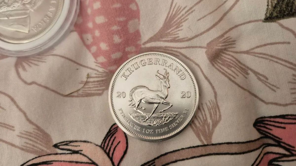 Silver Coins  1oz .999 Fine Silver  Bullion Coins - Image 2