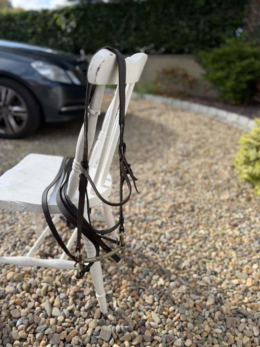 Horse Saddle - Image 4