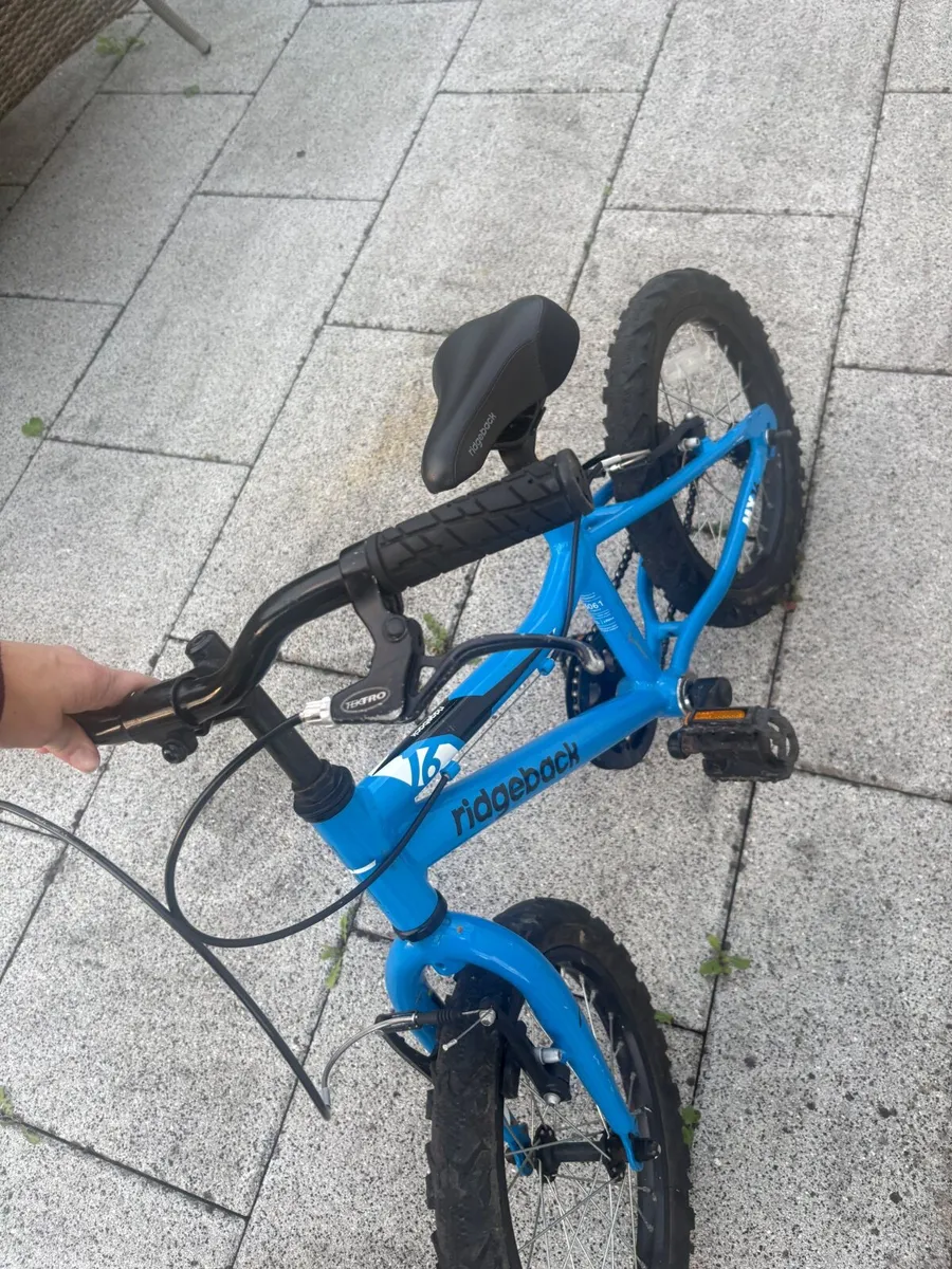 Kids 16inch ridgeback bike - Image 1