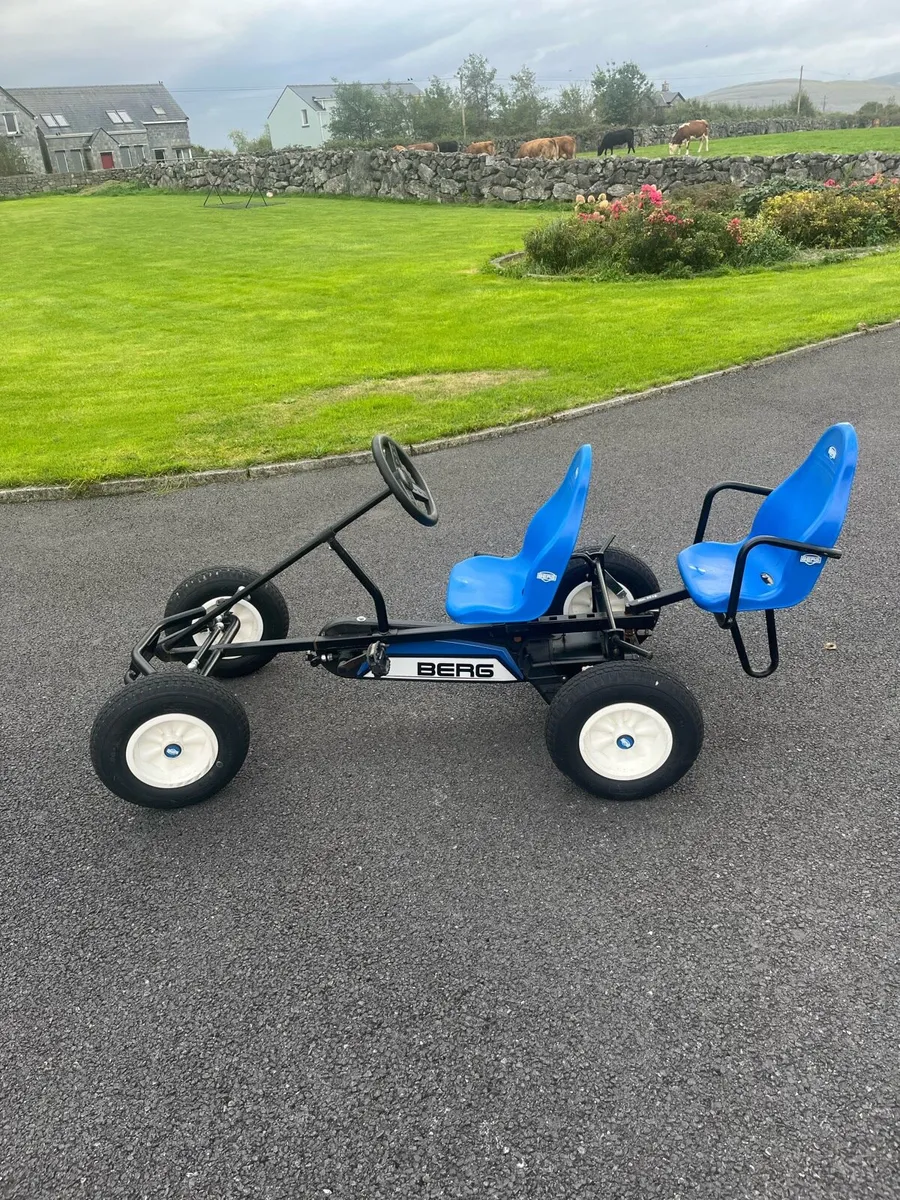 Berg Go Kart for sale - Image 1