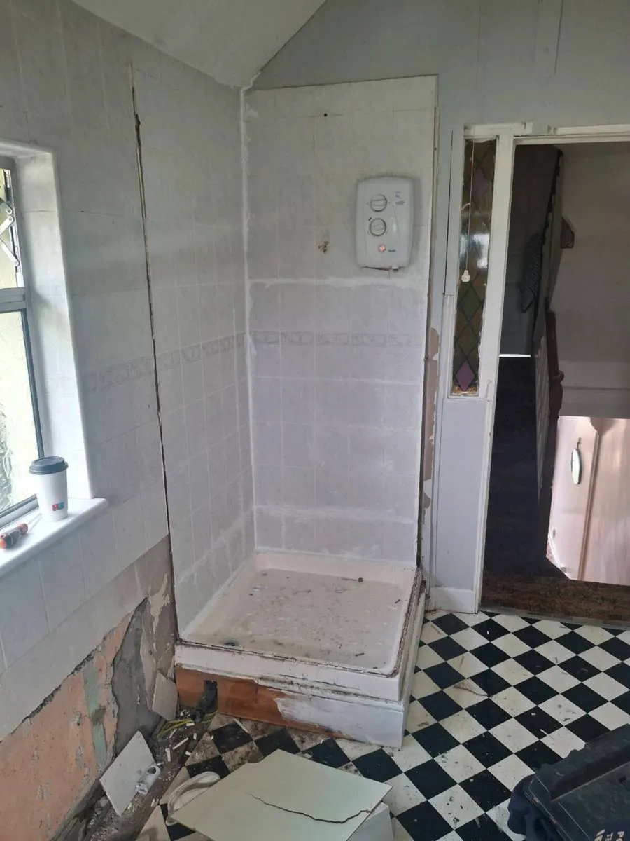 Bathroom renovations - Image 2