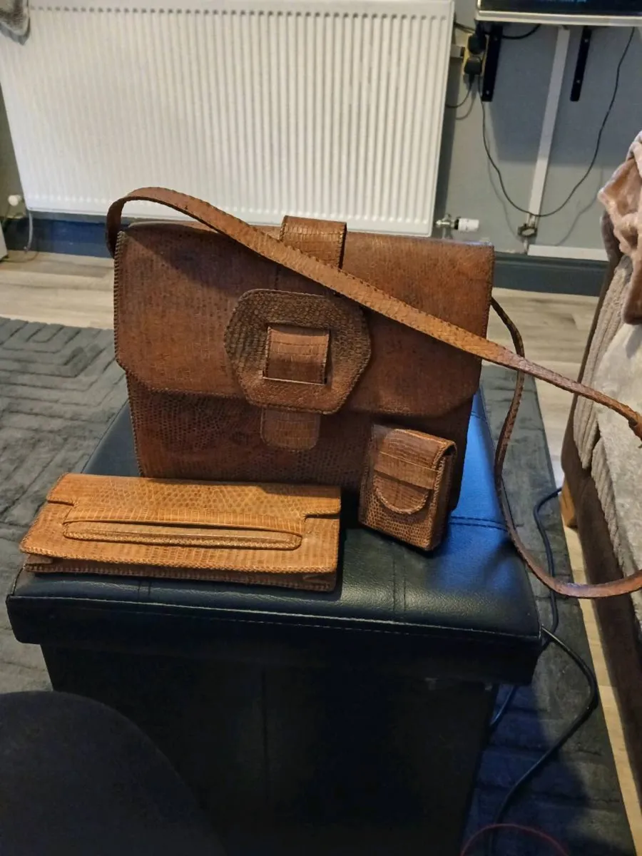 Lizard leather bag wallet and purse - Image 2