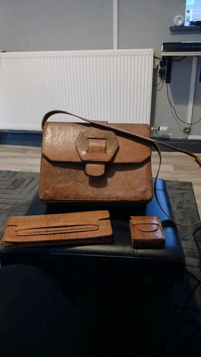 Lizard leather bag wallet and purse - Image 4