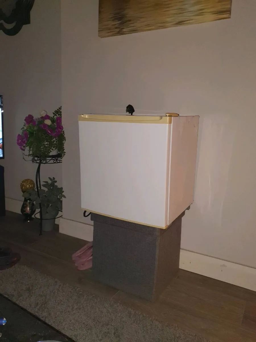 Small Fridge freezer - Image 1