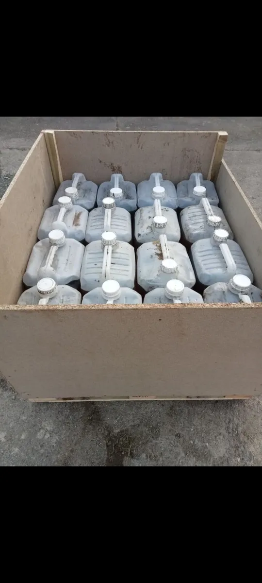 Veg oil - Image 2