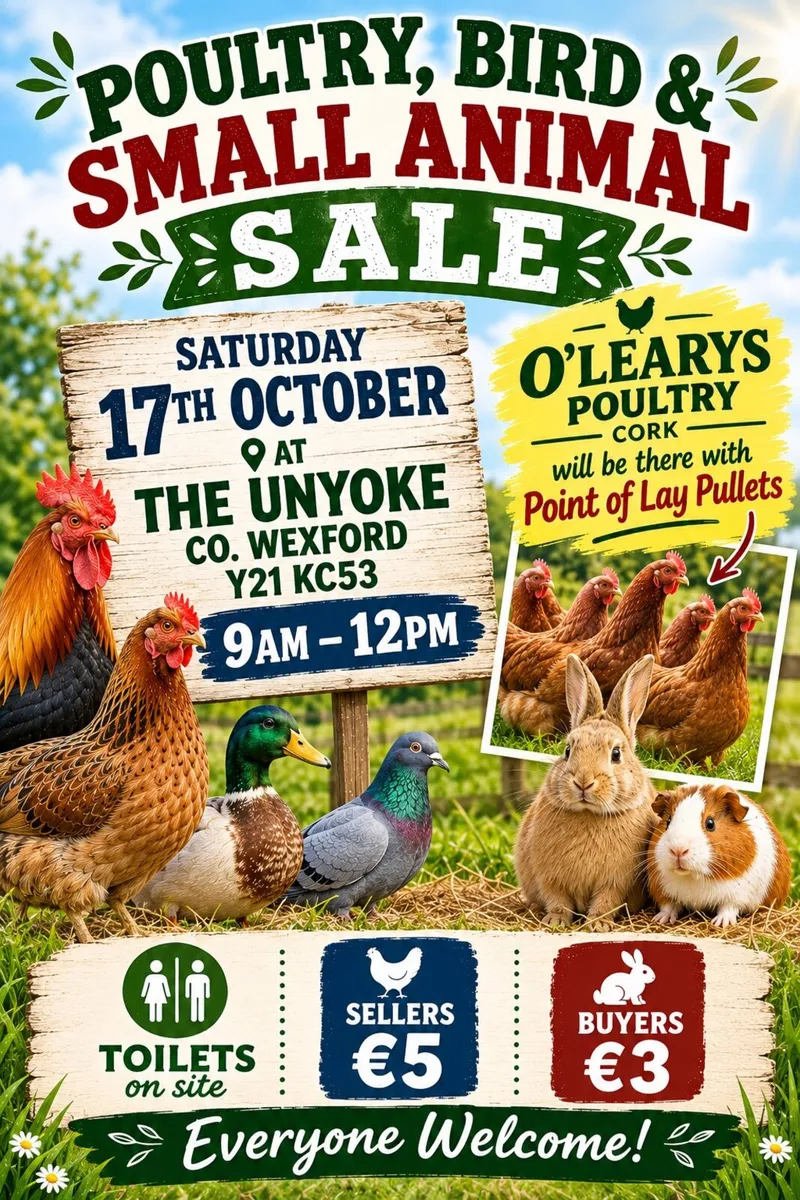Poultry, Bird and Small Animal Sale
