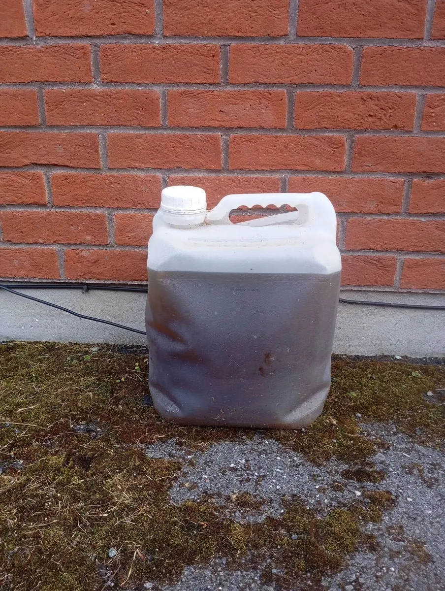 Veg oil - Image 1