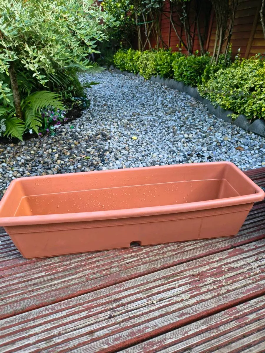 Four window Boxes. - Image 2