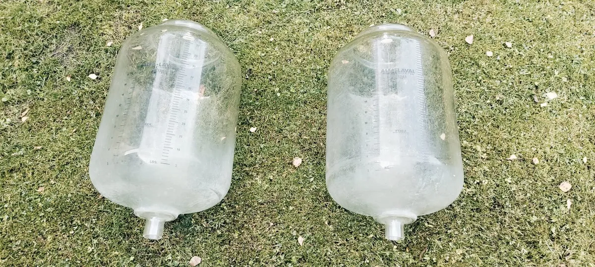 Alfa Laval milking jars - Image 3