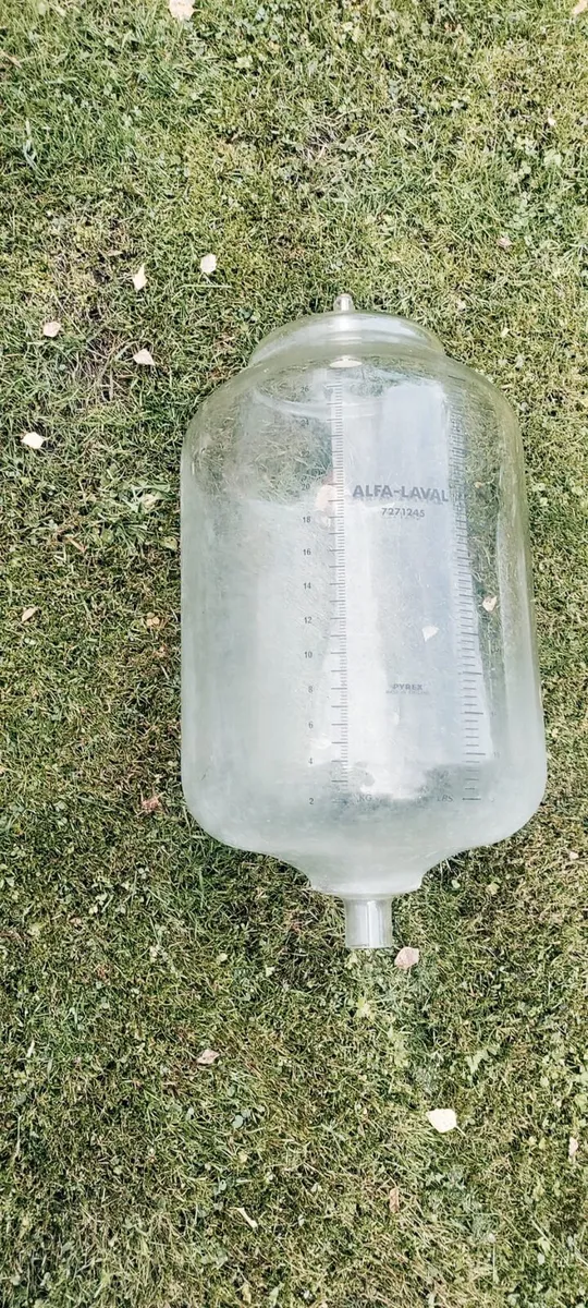 Alfa Laval milking jars - Image 4