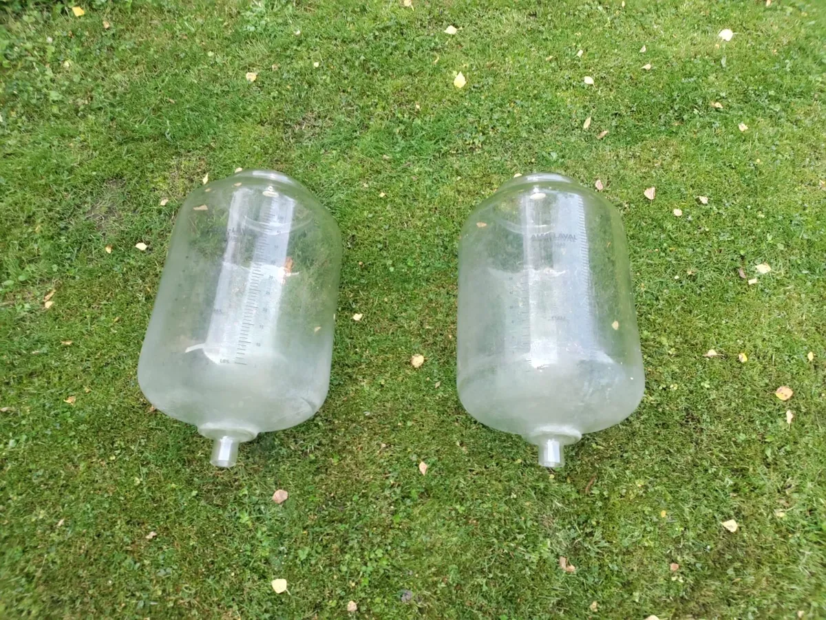Alfa Laval milking jars - Image 1