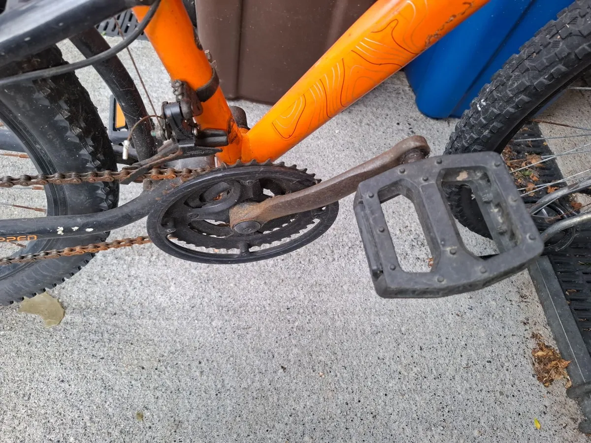 Apollo bicycle - Image 4