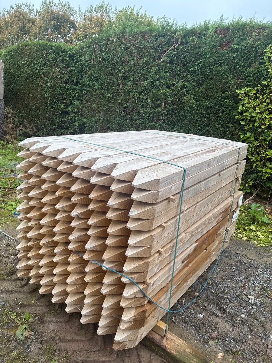 Garden stakes - Image 1